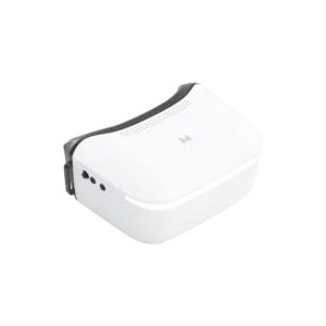 CADDX Walksnail Avatar HD Goggles L
